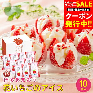 Ε ACX Mtg  ܂ Ԃ̃ACX(10) / Ε ~Mtg j Ԃ Ԃ j ACXN[ JbvACX XC[c    킢 