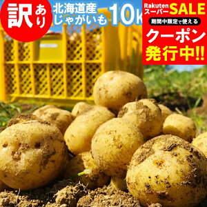 yoגzVႪ VႪ  󂠂 kCYႪi10kgj / V Ⴊ VႪ 10kg 10L 10L Ⴊ WKC C kC Ƃ jݏ L^AJ 