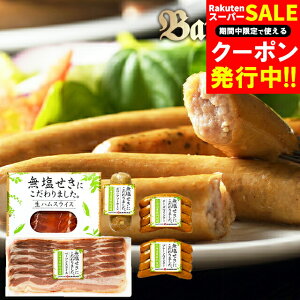 Ε n Mtg  oion nMtg(050Y011A) / Ε ~Mtg j Ԃ Ԃ j Dyoion Dy oio oiot[Y nMtg nl