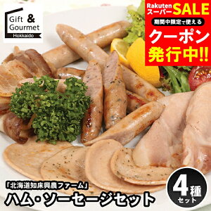 Ε n \[Z[W Mtg  ukCm_t@[v nE\[Z[WZbg(00110000-11) / Ε ~Mtg j Ԃ \[Z[W nZbg nMtg Zbg lߍ