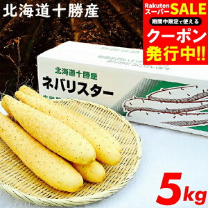 Ε  Mtg  kCY  V loX^[(5kg) / Ε Ε ~Mtg j Ԃ Ԃ oYj j Ȃ  C   R 