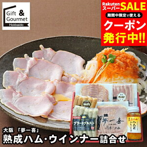 Ε n \[Z[W Mtg   uv nnEECi[l(EX-41) / v[g c 2025 j Ԃ \[Z[W nMtg Zbg lߍ킹 l 