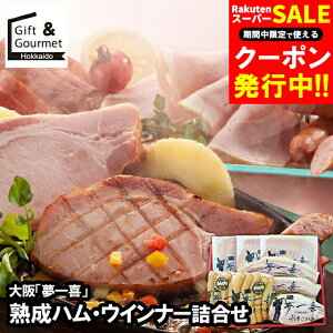 Ε n \[Z[W Mtg   uv nnEECi[l(FX-71) / v[g c 2025 j Ԃ \[Z[W nMtg Zbg lߍ킹 l 