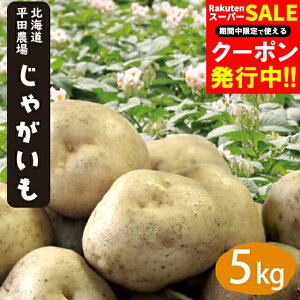 yGoגzVႪ VႪ  kC  c_̂ႪiƂEj݁EL^AJE[NCjLTCY 5kg / V Ⴊ Ⴊ WKC  Ⴊ 