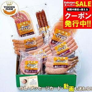 Ε n \[Z[W Mtg  kC gft@[Mtg(CT-60) / Ε ~Mtg j Ԃ oYj j kC x[R nMtg nlߍ킹 t 