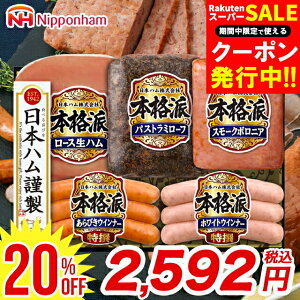 y20%OFFzΕ ~Mtg n lߍ킹 Mtg  {n {ihMtg(NH-37) / Ε Ε 2025 Εn nlߍ킹 l nMtg j Ԃ Zbg nZbg 