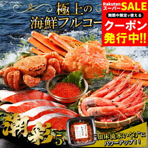 y蕨ɂ̓JjIz Ε Jj CN Mtg   CNZbg ()(5iZbg) / Ε ~Mtg j Ԃ kC kCY CNZbg ъI уKj I JjZb