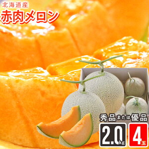 �y2026�N�\��z������ �M�t�g �������� �y�ڗ����o�C���[�ɂ��܂����I�z�k�C���u�����h�̐ԓ� �������� ��2.0kg(LL�T�C�Y/�D�i�܂��͏G�i) / �䒆�� �ăM�t�g �k�C�� �k�C���Y �ԓ� ��� �����