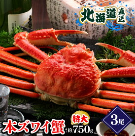 父の日 カニ かに 海鮮 ギフト送料無料 ズワイガニ （1尾約750g・ボイル済み）【父の日ギフト プレゼント 2024 内祝い 贈り物 ずわい ずわいがに ズワイ 姿 まるごと ボイル済み 茹で済み 二匹 北海道 冷凍 人気 海鮮 内祝い】gghp