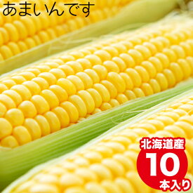 2024年 予約受付中 8月下旬出荷開始とうもろこし 北海道 送料無料 北海道産 南幌町明るい農村ネットワーク あまいんです(6本～80本)【トウモロコシ とうきび トウキビ スイーツコーン スイートコーン 南幌 なんぽろ 産地直送 美味しい 甘い 人気】