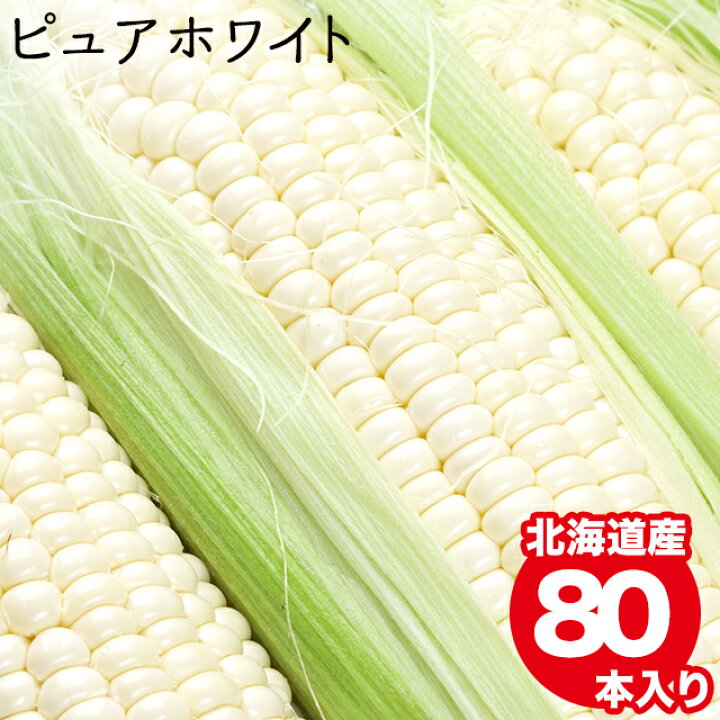 楽天市場 22年早期予約承り中 8月出荷開始とうもろこし 北海道 送料無料 北海道産 白いとうもろこし ピュアホワイト 80本 南幌町明るい農村ネットワーク トウモロコシ とうきび 産地直送 直送 おいしい 白い ホワイト 旬 白系 果物 フルーツ スイーツ ギフト