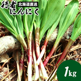 【2026年予約】 行者ニンニク 送料無料 幻の山菜 北海道産 天然行者にんにく 1.0kg入り / アイヌネギ ギョウジャニンニク 北海道 1kg 1キロ 山菜 春の山菜 天然 北海道 道産 直送 人気 香味野菜 にんにく 香り 直送 野菜 旬菜 春野菜 季節限定 春限定 自宅用 取り寄せ