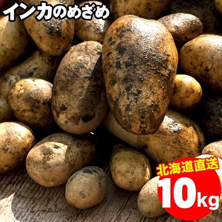 楽天市場】2024年ご予約承り中 12月出荷開始新じゃが 野菜 直送送料 