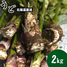 今季出荷中送料無料 幻の山菜 北海道産 天然山ウド2.0kg入り【2kg 2キロ 北海道産 天然 山菜 うど ウド 山うど 山ウド 春の味覚 酢味噌和え 和食 産直 旬の味覚】