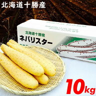 父の日 長芋 ギフト 送料無料 北海道産 長芋 新世代野菜 ネバリスター 10kg / 10キロ 10kg 内祝い お返し…