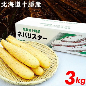 Ƃ낢 g ܂Go׊Jn kCY  V loX^[(3kg)yȂ  C   R  ܂Ƃ a kC  Ƃ낢z