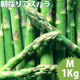 2024年 予約受付中送料無料 北海道産 アスパラガス グリーンアスパラ(Mサイズ 1kg)【1キロ 1kg アスパラ アスパラガス グリーンアスパラ 北海道産 北海道直送 ギフト 旬の味覚 春野菜 野菜 グリーン サラダ 旬 おいしい 人気 新鮮】