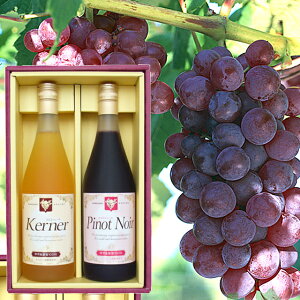 Ε W[X Mtg  k悢 W[XZbg(HG-45) / Ε ~Mtg j Ԃ ʕ kC 悢 ]s kCY ]sY W[XZbg lߍ킹 hN ʏ`