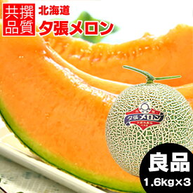 【予約】お中元 メロン ギフト 送料無料 北海道 夕張メロン（共撰 良品 約1.6kg/Lサイズ）【御中元 暑中御見舞 夕張 ゆうばり ゆうばりメロン 贈り物 赤肉メロン 北海道メロン めろん 北海道産 1玉 2玉 3玉 5玉 1.6kg 旬 フルーツ 正規品】 yumeky