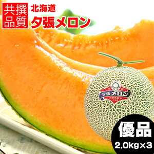 �y2026�N�\��z������ ������ �M�t�g �������� �k�C�� �[���������i���� �D�i ��2.0kg/LL�T�C�Y�j / �䒆�� ���������� ��� �ԓ������� �ԓ� �[�� �䂤�΂� �䂤�΂胁���� �k�C���Y 1�� 1�� 2�� 