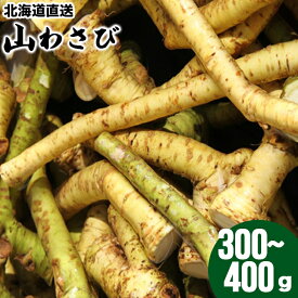 惣菜 ギフト二条市場直送【北海道産】生山わさび300～400g【ご飯 ご飯のお供 山ワサビ 山わさび わさび 山菜 北海道 北海道産 北海道直送 自宅用 グルメ】