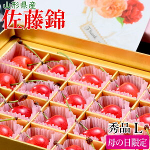 ギフト さくらんぼの人気商品 通販 価格比較 価格 Com