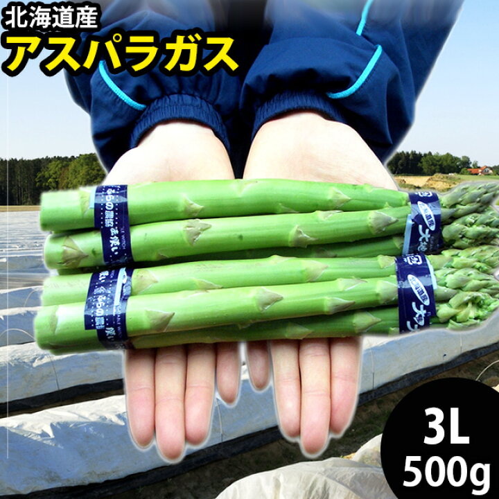 楽天市場】2025年 予約受付中送料無料 北海道産 アスパラガス 500g(3L 