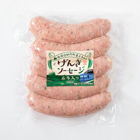 単品 自宅用 お試し 北海道トンデンファーム げんきソーセージ（フランク）(350g)【ハム ウィンナー 人気 単品 スモーク 燻煙 個別】【SSS_1】【まとめ買い12,960円以上送料無料※一か所への発送に限り】【SSS_1】[Tsi]