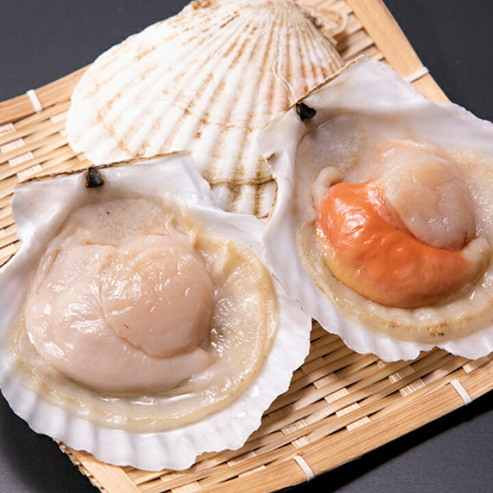楽天市場 貝 帆立 北海道産 子持ち片貝帆立 ホタテ 10枚 約800g 貝つき ホタテ ほたて 殻付き 直送 バーベキュー 網焼き ホタテ貝 貝類 q バター焼き 貝柱 殻付き Kowa ギフト グルメ北海道