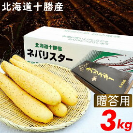 父の日 野菜 ギフト送料無料【贈答用】北海道産 長芋 新世代野菜 ネバリスター(3kg)【父の日ギフト 2024 内祝い 夏 ながいも 長いも 長イモ 芋 いも 自然薯 里芋 やまといも 大和芋 北海道 直送 とろろいも 品種 とろ】