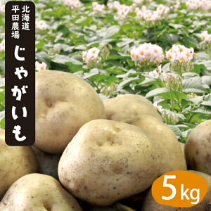 じゃがいも 種 とうやの人気商品 通販 価格比較 価格 Com