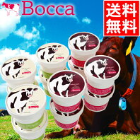 ホワイトデーに★バレンタインのお返しギフト!バレンタイン お菓子 ギフト送料無料 BOCCA 牧家 アイスクリームセット【北海道 ギフト アイスクリーム スイーツ ボッカ 牧歌 ぼっか 牧家 お菓子 セット 詰め合わせ 内祝い 御祝い お返し】【0303SS】