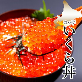 自宅用 いくら醤油漬け（60g）【北海道 いくら 自宅用 いくら丼 イクラ丼 北海道産 魚卵 お取り寄せ イクラ 魚卵 手巻き寿司 どんぶり しょうゆ漬け 味付き 単品 自宅用 まとめ買い】