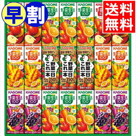 お中元 早割 ジュース ギフト送料無料 カゴメ 野菜飲料バラエティギフト(21本)(KYJ-30G)【御中元 2024 お中元ギフト 夏ギフト 暑中見舞い フルーツジュース ドリンク フルーツ 日持ち 常温 果物 飲み物 バラエティ 詰め合わせ セット 贈り物 お返し】[card]