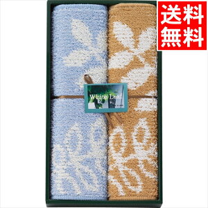 CeA  Mtg  zCg[t oX}bg2Zbg(94844) / Ε ~Mtg j Ԃ Ԃ j oY  oYj j j 蕨 v[g a 