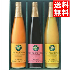 j W[X Mtg  t_X[jO }S[t[c100W[X(MGP30) / Ε Ε j Ԃ Ԃ j t[cW[X W[XMtg t[c 