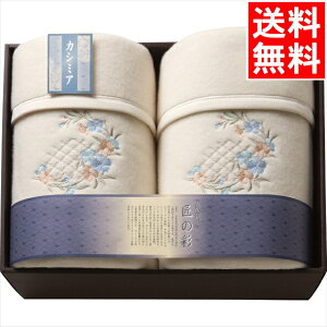 Q zc Mtg  B̍ JV~E[Ȗѕz(щH)2Zbg(SHW-24051C) / v[g c j Ԃ j oY  oYj j j 蕨 v