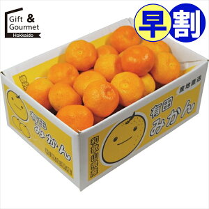 お歳暮 早割 フルーツ ギフト 送料無料 和歌山県産 有田みかん(3kg) 【御歳暮 歳暮 お歳暮ギフト 冬ギフト 内祝い お返し フルーツギフト フルーツセット 果物ギフト 果物セット ギフトセット