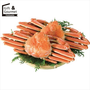 Ε CN Mtg  {C킢Ɏp(2t v1kg) yΕ Ε ΕMtg ~Mtg j Ԃ CNZbg CNMtg C̍K  lC MtgZbg lߍ킹 ߂