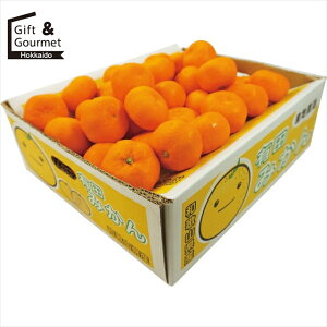 お歳暮 フルーツ ギフト 送料無料 和歌山県産 有田みかん(5kg) 【御歳暮 歳暮 お歳暮ギフト 冬ギフト 内祝い お返し フルーツギフト フルーツセット 果物ギフト 果物セット ギフトセット 詰め