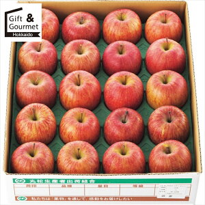 Ε t[c Mtg  R`Y Tӂ(5kg) yΕ Ε ΕMtg ~Mtg j Ԃ t[cMtg t[cZbg ʕMtg ʕZbg MtgZbg l