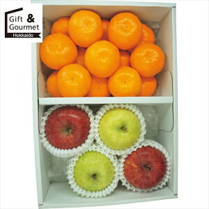 お歳暮 フルーツ ギフト 送料無料 有田みかん・サンふじりんご・王林りんご 【御歳暮 歳暮 お歳暮ギフト 冬ギフト 内祝い お返し フルーツギフト フルーツセット 果物ギフト 果物セット ギ