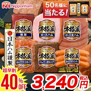 y40%OFFzΕ n lߍ킹 Mtg  {n {ihMtg(NH-52) / ~Mtg Ε Ε 2025 Εn nlߍ킹 l nMtg j Ԃ Zbg nZbg 