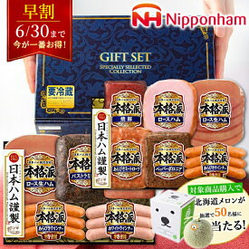 【早割/選べる2種】お中元 ハム 詰め合わせ ギフト 送料無料 日本ハム 選べる本格派ギフト / 御中元 夏ギフト 中元 2026 お中元ハム ハム詰め合わせ 詰合せ ハムギフト 内祝い お返し セット ハムセット ソーセージ ウインナー ウィンナー 生ハム 法人 会社 企業 24nhc