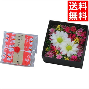 Ε g Mtg  ق̋CV[Y BOXt[(nJ`Egt)(͂Ȃ₩)(ncr-25-af03at) / Ε ~Mtg j Ԃ Ԃ j gZbg Zbg   