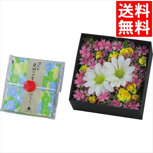 Ε g Mtg  ق̋CV[Y BOXt[(nJ`Egt)(͂Ȃ)(ncr-25-af03dg) / Ε ~Mtg j Ԃ Ԃ j gZbg Zbg   