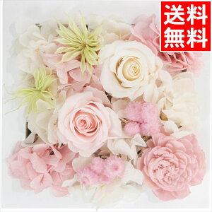 CeA  Mtg  vU[uhEH[t[(XNGA)(sN)(ncr-wallpri02-pi) / Ε ~Mtg j Ԃ j oY  oYj j 蕨 v[g a