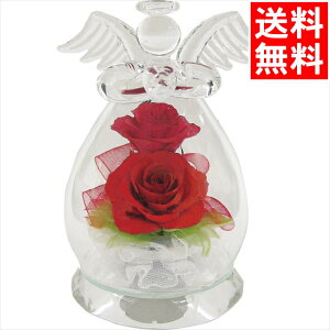 CeA  Mtg  {gt[ Vg 2֑}Et(Cbh)(1000063368) / Ε ~Mtg j Ԃ j oY  oYj j j 蕨 v[