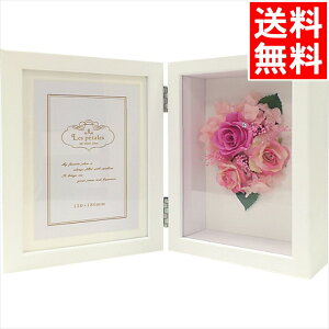 CeA  Mtg  Ey^tHgt[(vUE)(sN)(1000047037) / Ε ~Mtg j Ԃ j oY  oYj j j 蕨 v[g