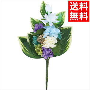 CeA  Mtg  lG((nX))(C37400S) / j Ԃ j oY  oYj j j 蕨 v[g a LO av[g t[ \[v 